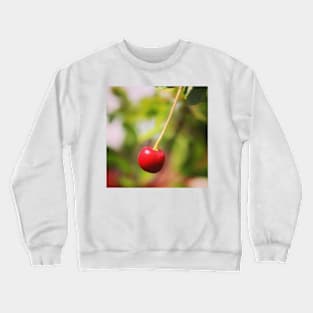Garden Berry Crewneck Sweatshirt